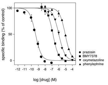 currentViewItem.Name