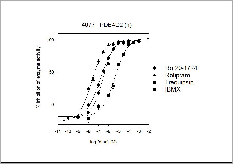 PDE4D2 Human Phosphodiesterase Enzymatic LeadHunter Assay - FR
